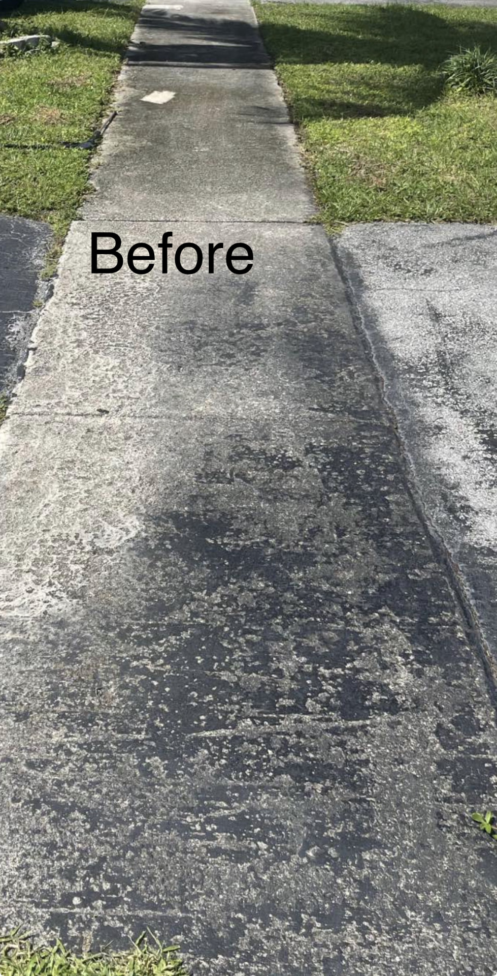 Before — Before and after concrete sidewalk pressure cleaning in Campbelltown