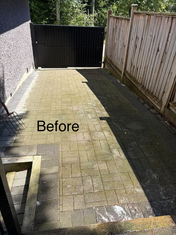 Before — Before and after paver driveway cleaning in Sydney