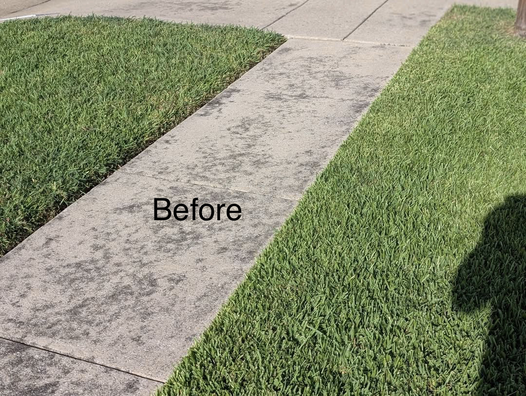 Before — Before and after concrete walkway pressure cleaning in Oran Park